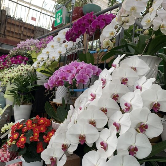 line_oa_chat_210816_152357