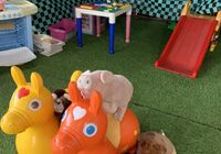 line_oa_chat_210816_152452