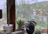 line_oa_chat_210816_152419